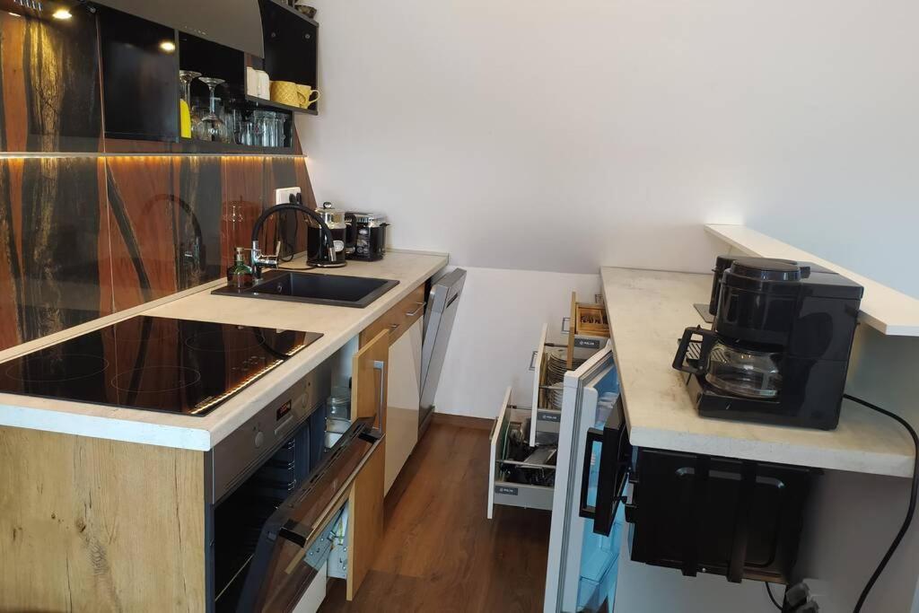 Apartman Ateliér Vary Karlovy Vary Kültér fotó
