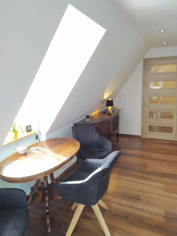Apartman Ateliér Vary Karlovy Vary Kültér fotó