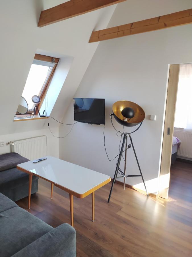 Apartman Ateliér Vary Karlovy Vary Kültér fotó