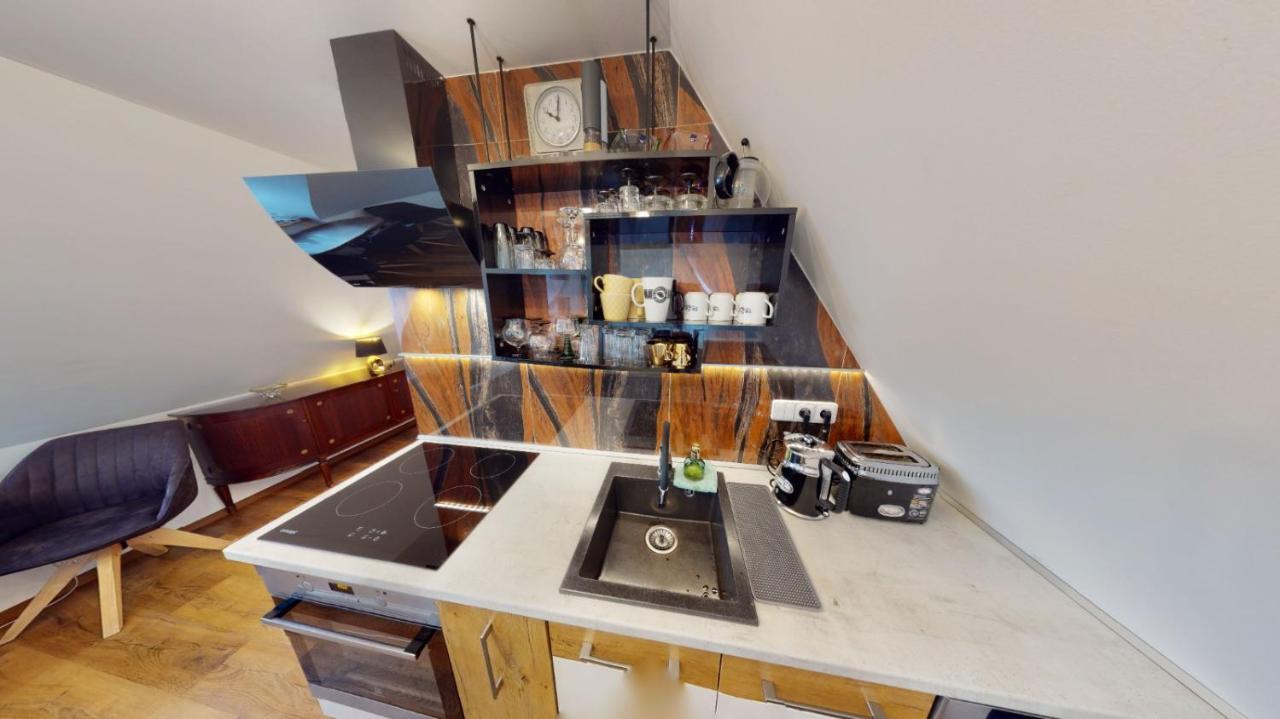 Apartman Ateliér Vary Karlovy Vary Kültér fotó